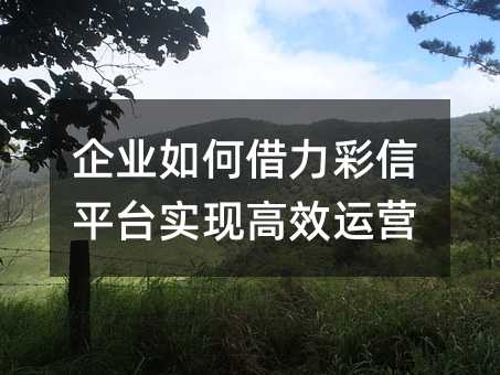 I(y)νƽ_(sh)F(xin)Ч\(yn)I