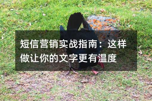 短信營(yíng)銷實(shí)戰(zhàn)指南:這樣做讓你的文字更有溫度