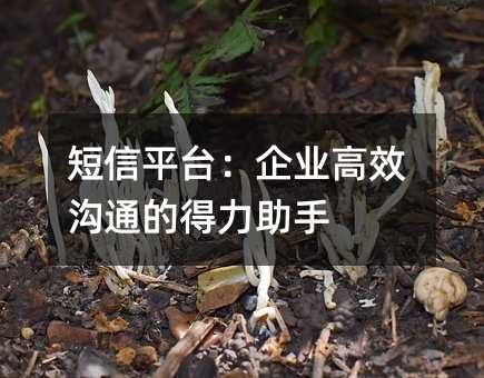 ƽ_(ti)I(y)Чͨĵ