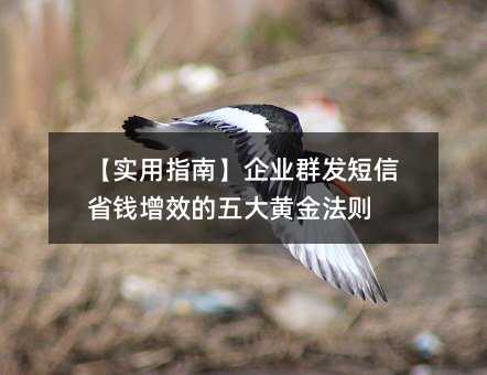 【實(shí)用指南】企業(yè)群發(fā)短信省錢增效的五大黃金法則