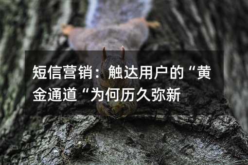 ŠIN|_(d)ÑġSͨΚvÏ