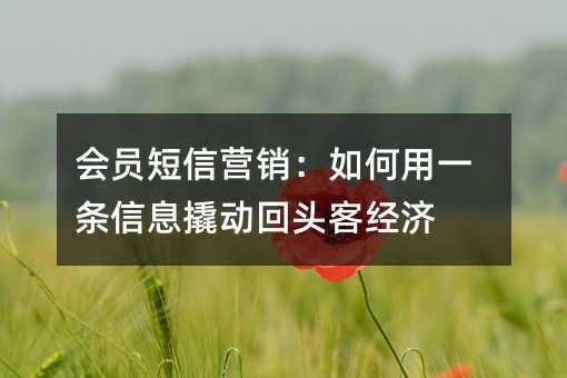 會(huì)員短信營(yíng)銷:如何用一條信息撬動(dòng)回頭客經(jīng)濟(jì)