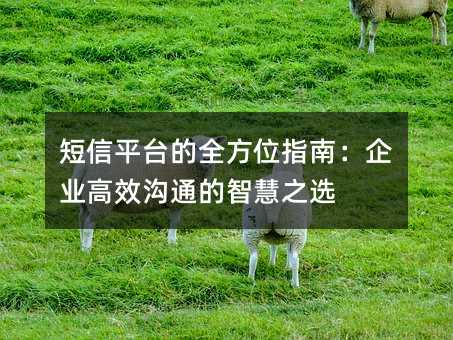 短信平臺的全方位指南:企業(yè)高效溝通的智慧之選