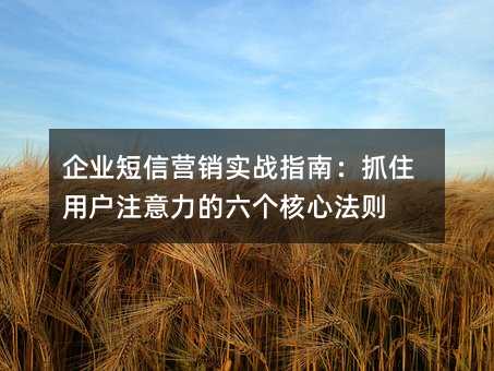 企業(yè)短信營銷實戰(zhàn)指南:抓住用戶注意力的六個核心法則