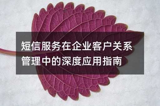 短信服務(wù)在企業(yè)客戶關(guān)系管理中的深度應(yīng)用指南