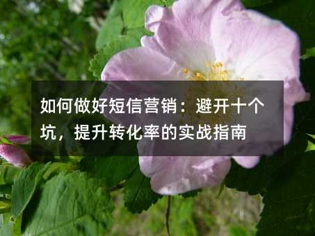 öŠI(yng)N_ʮ(g)ӣD(zhun)ʵČ(sh)(zhn)ָ