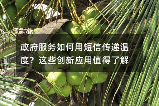 (w)öłfضȣ@Щ(chung)(yng)ֵ˽