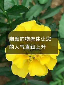 Ĭw׌˚ֱ