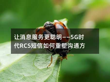 ׌Ϣո5GrRCSܜͨʽ