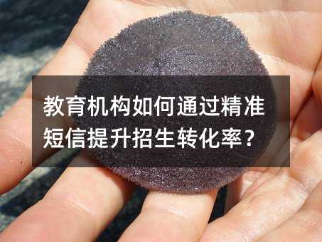 教育機(jī)構(gòu)如何通過精準(zhǔn)短信提升招生轉(zhuǎn)化率?