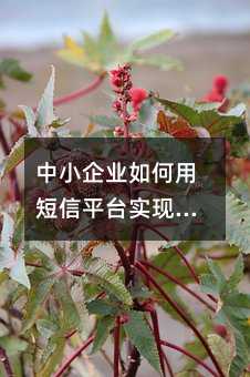 СI(y)öƽ_(ti)(sh)F(xin)ͳɱ߻؈(bo)\(yn)I(yng)