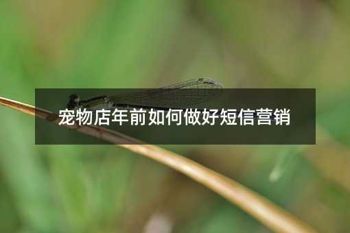 ǰöŠIN