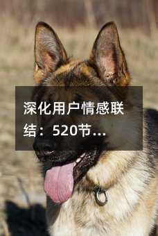 Ñ(lin)Y(ji)520(ji)յĶŠINԃ(yu)ָ