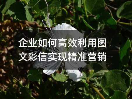 I(y)θЧÈDĲŌF(xin)(zhn)IN
