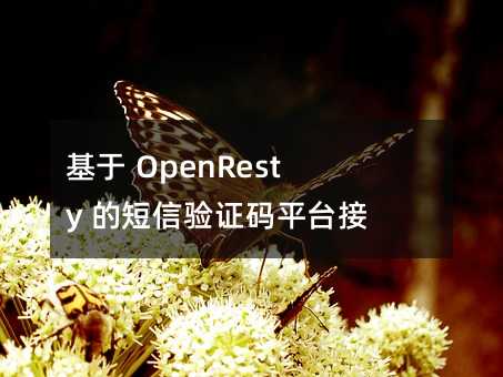  OpenResty ĶCaƽ_ӿھW(wng)P(gun)OӋ