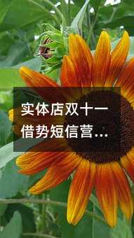 (sh)wpʮһݶŠIN(sh)(zhn)ָ