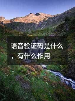 Z(y)(yn)Caʲôʲô
