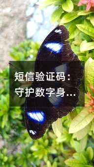 (yn)Cao(h)(sh)ݵĵһ