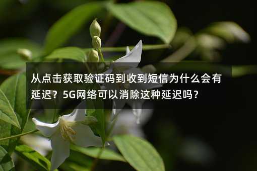 c@ȡCaյŞʲôt5GW(wng)j@Nt
