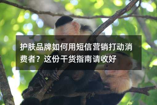 owƷöŠINM@ݸ؛ָՈպ