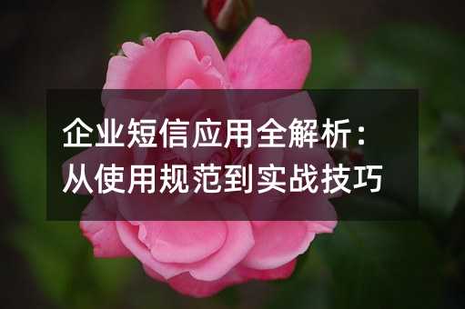 I(y)ő(yng)ȫʹҎ(gu)(zhn)