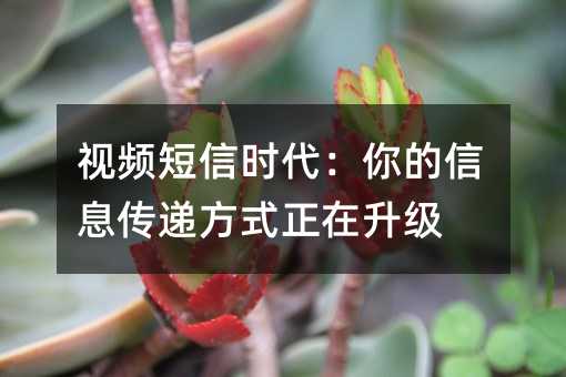ҕlŕrϢfʽ