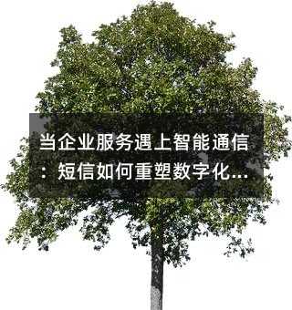 I(y)ͨţܔ(sh)ֻD·