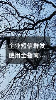 I(y)Ⱥl(f)ʹȫָϣTЧ(yng)