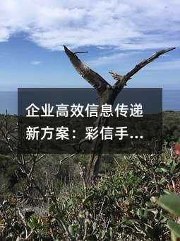 I(y)ЧϢf·֙C(j)(bo)ȑ(yng)ָ