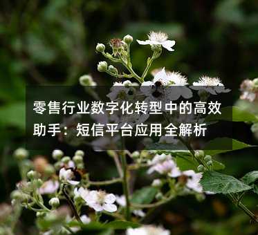 ИI(y)(sh)ֻD(zhun)еĸЧ֣ƽ_(yng)ȫ