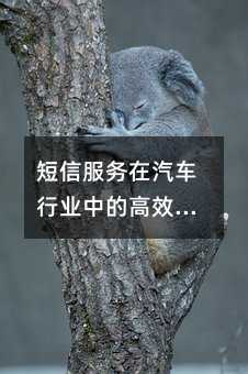 ŷ(w)܇ИI(y)еĸЧ(yng)ָ