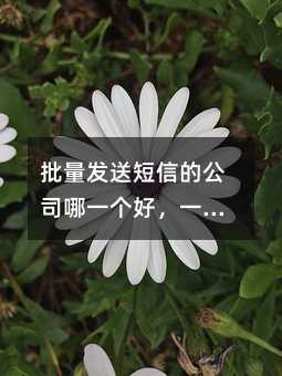 l(f)ͶŵĹ˾һãһ¾܉l(f)Ñôl(f)Ͷ