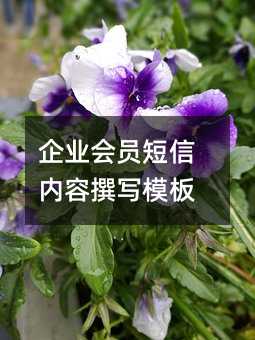 企業(yè)會(huì)員短信內(nèi)容撰寫(xiě)模板