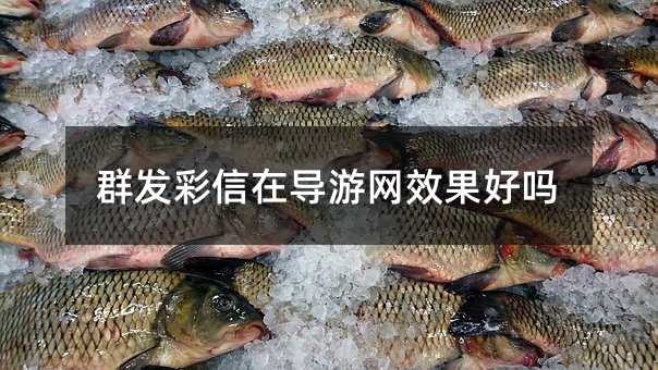 群發(fā)彩信在導游網(wǎng)效果好嗎