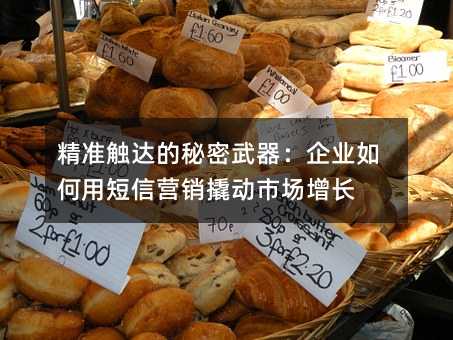 精準(zhǔn)觸達(dá)的秘密武器:企業(yè)如何用短信營銷撬動市場增長