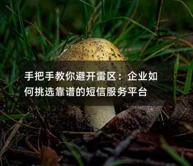 手把手教你避開雷區(qū):企業(yè)如何挑選靠譜的短信服務(wù)平臺