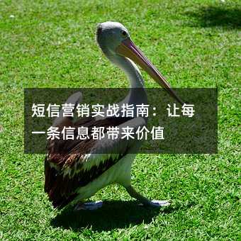 短信營(yíng)銷實(shí)戰(zhàn)指南:讓每一條信息都帶來價(jià)值