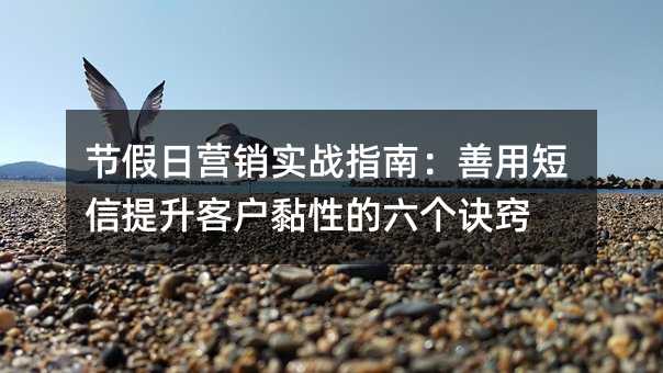 節(jié)假日營銷實戰(zhàn)指南:善用短信提升客戶黏性的六個訣竅