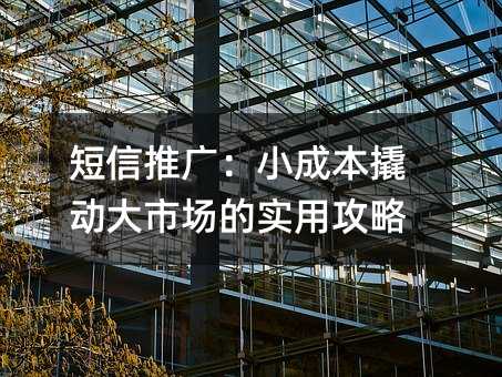 短信推廣:小成本撬動(dòng)大市場(chǎng)的實(shí)用攻略