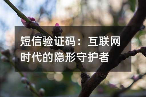 短信驗(yàn)證碼:互聯(lián)網(wǎng)時(shí)代的隱形守護(hù)者