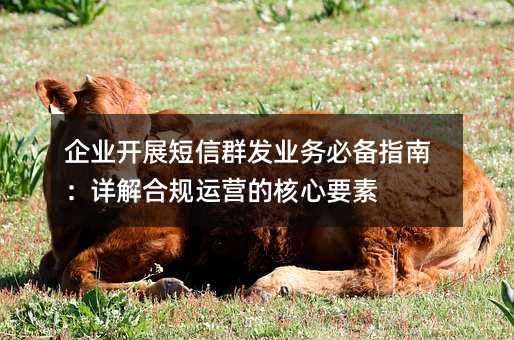 企業(yè)開(kāi)展短信群發(fā)業(yè)務(wù)必備指南:詳解合規(guī)運(yùn)營(yíng)的核心要素