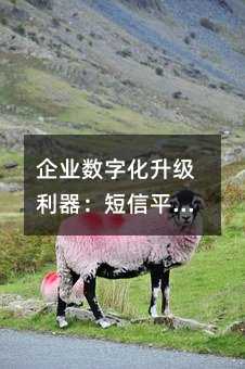 I(y)(sh)ֻ(j)ƽ_(ti)Ч(yng)ָ