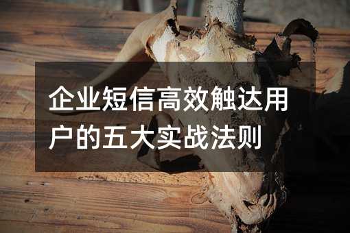企業(yè)短信高效觸達用戶的五大實戰(zhàn)法則
