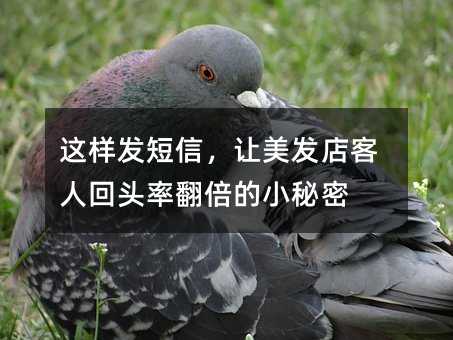@Ӱl(f)׌l(f)˻^ʷС