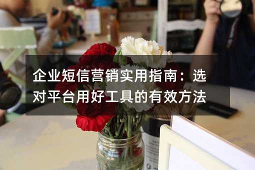 企業(yè)短信營銷實用指南:選對平臺用好工具的有效方法