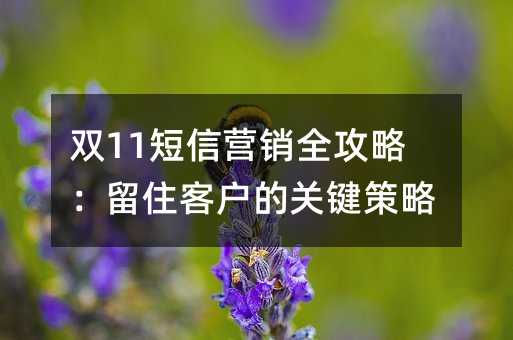 雙11短信營銷全攻略:留住客戶的關鍵策略