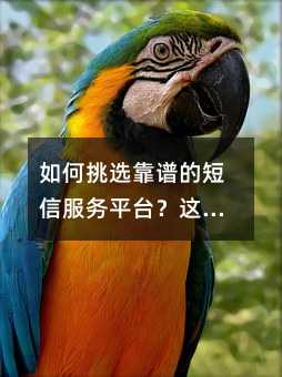 如何挑選靠譜的短信服務平臺?這份避坑指南請收好