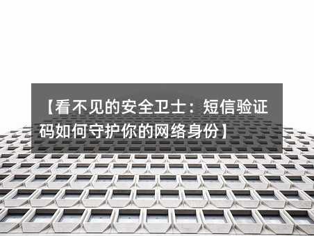 【看不見的安全衛(wèi)士:短信驗(yàn)證碼如何守護(hù)你的網(wǎng)絡(luò)身份】