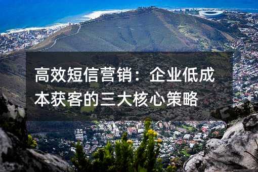 高效短信營(yíng)銷(xiāo):企業(yè)低成本獲客的三大核心策略