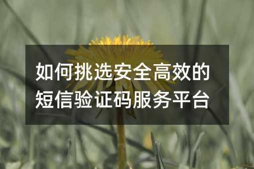 如何挑選安全高效的短信驗(yàn)證碼服務(wù)平臺(tái)